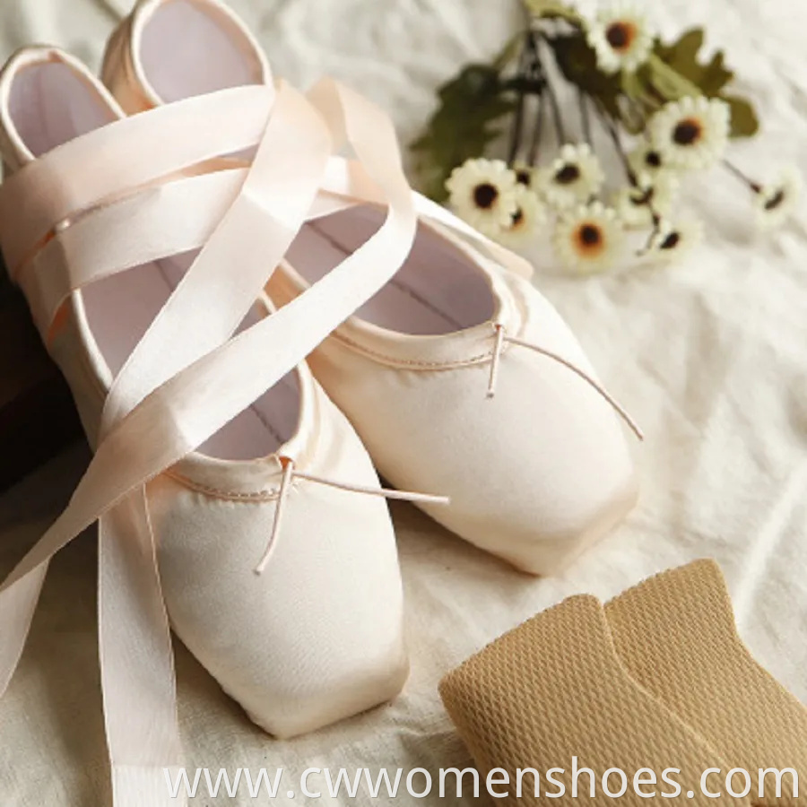 Pointe Shoes Ballet Dance Toe Shoes Soft Wbb13805